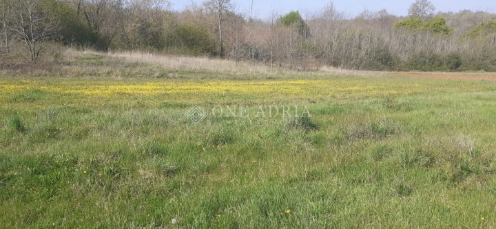 Parcela Naprodaj - Istarska Barban - foto 3/3