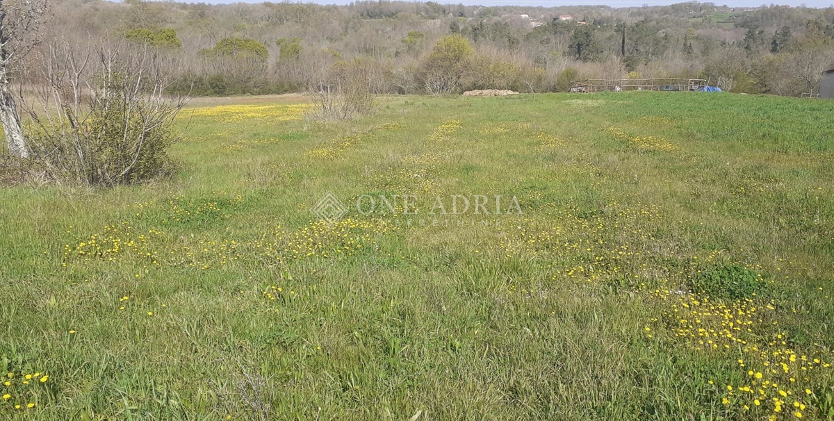 Terreno In vendita - Istarska Barban - foto 1/3