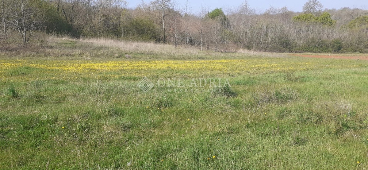 Terreno In vendita - Istarska Barban - foto 3/3