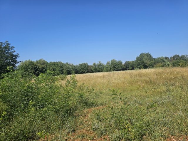 Land For sale - Istarska Tinjan - foto 4/8