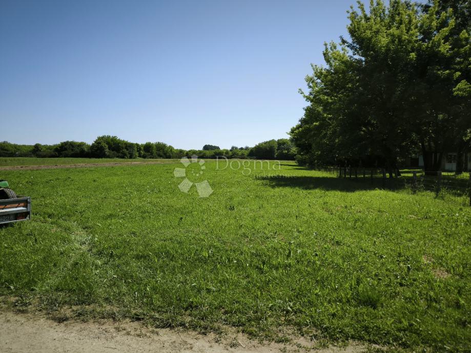 Terrain À vendre - Sisačko-moslavačka Petrinja - foto 4/19