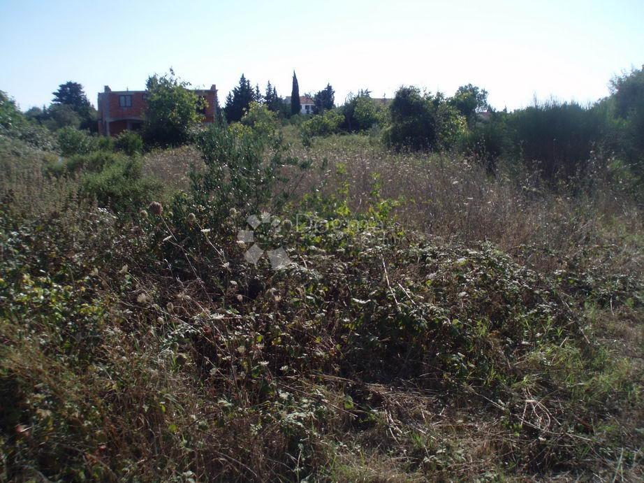 Land For sale - ZADARSKA UGLJAN