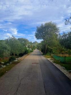Land For sale - ZADARSKA UGLJAN