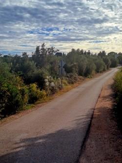 Land For sale - ZADARSKA UGLJAN