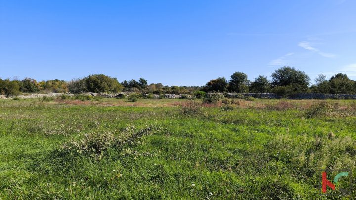 Land For sale - Istarska Vodnjan - foto 4/5