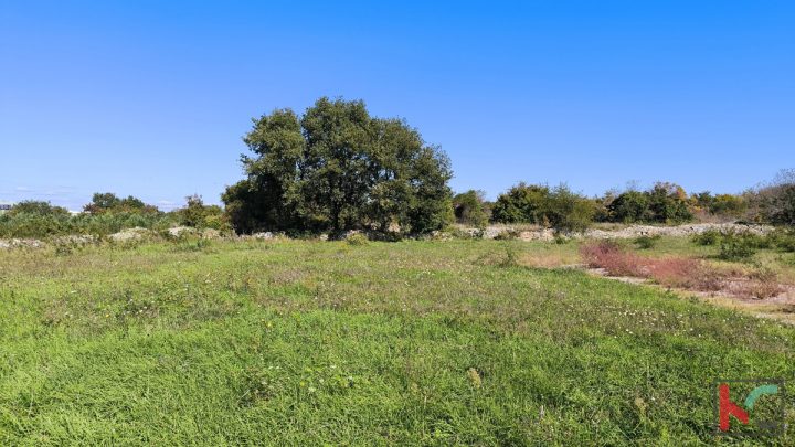 Land For sale - Istarska Vodnjan - foto 5/5