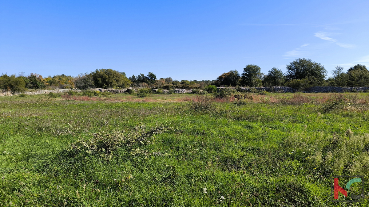 Land For sale - Istarska Vodnjan - foto 2/5