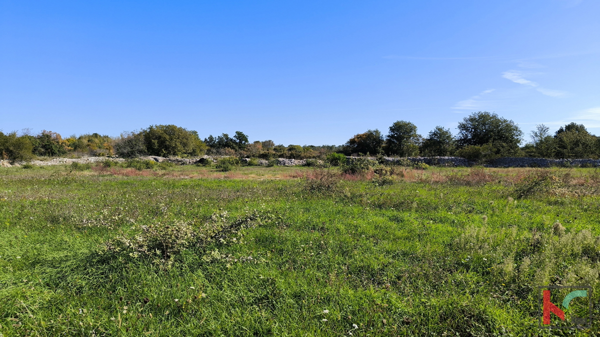 Land For sale - Istarska Vodnjan - foto 4/5