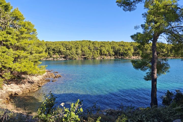 Apartment Zu verkaufen - Splitsko-dalmatinska Hvar - foto 5/5
