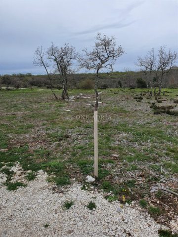 Grundstück Zu verkaufen - Istarska Marčana - foto 4/5