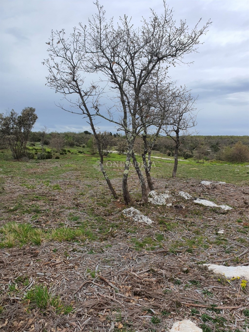 Terreno In vendita - Istarska Marčana - foto 1/5
