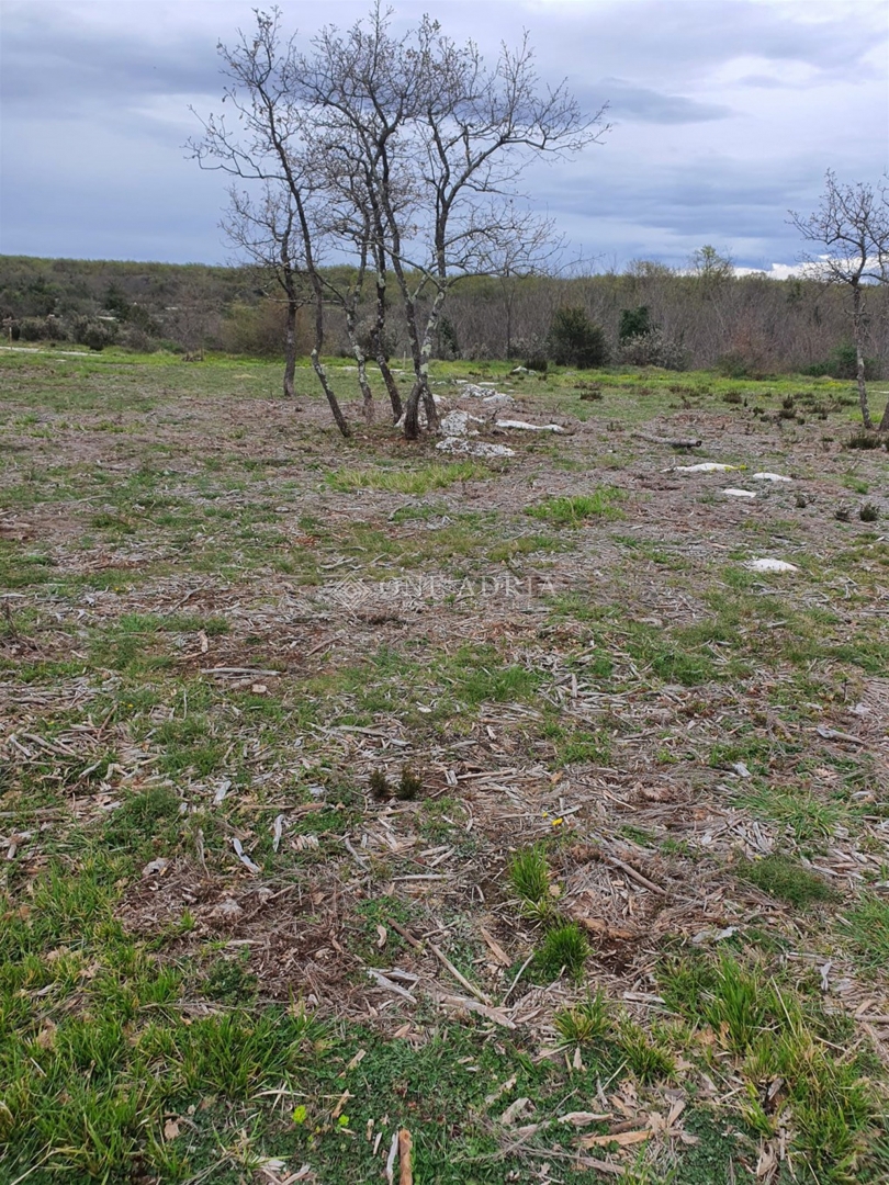 Terreno In vendita - Istarska Marčana - foto 3/5