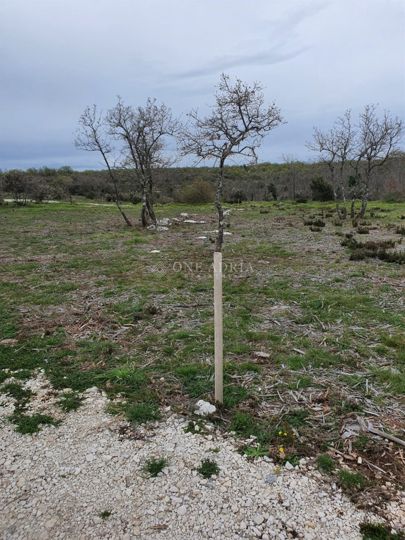 Terreno In vendita - Istarska Marčana - foto 4/5