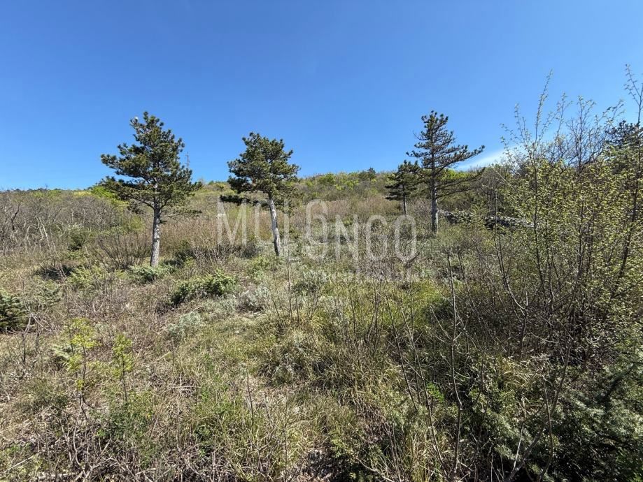 Terreno In vendita - Primorsko-goranska Crikvenica - foto 2/4