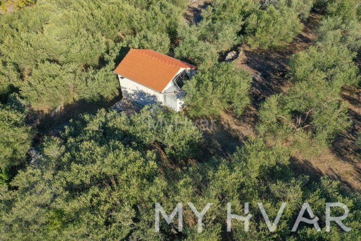 Terrain à vendre 4300 m² – Jelsa