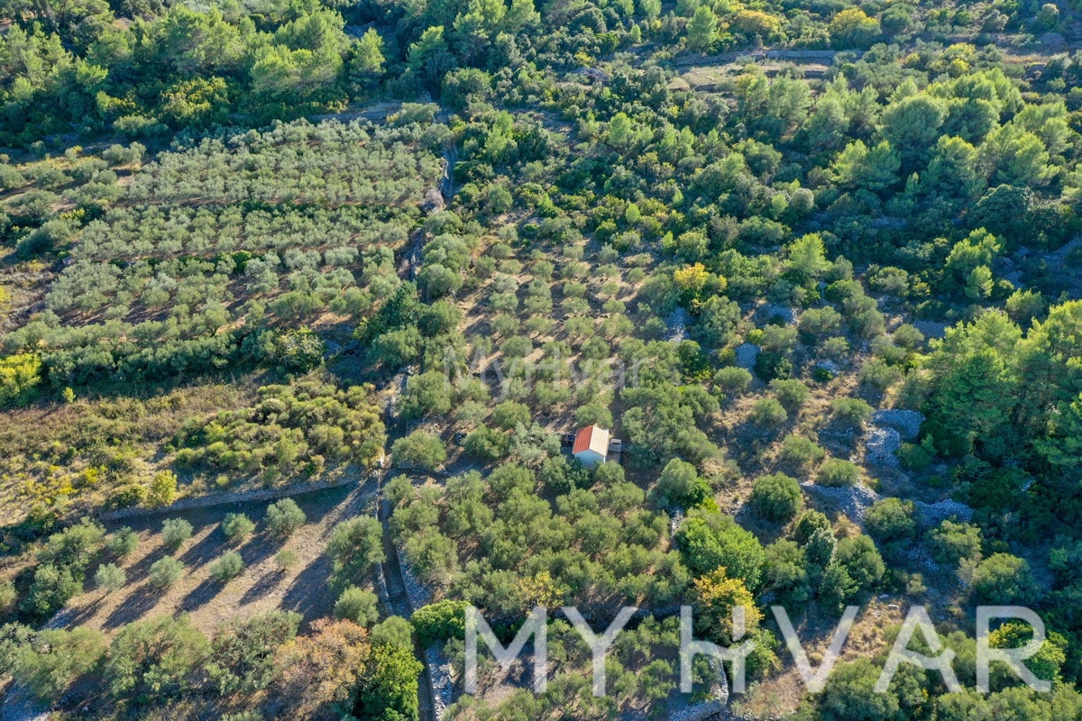 Land For sale - SPLITSKO-DALMATINSKA JELSA