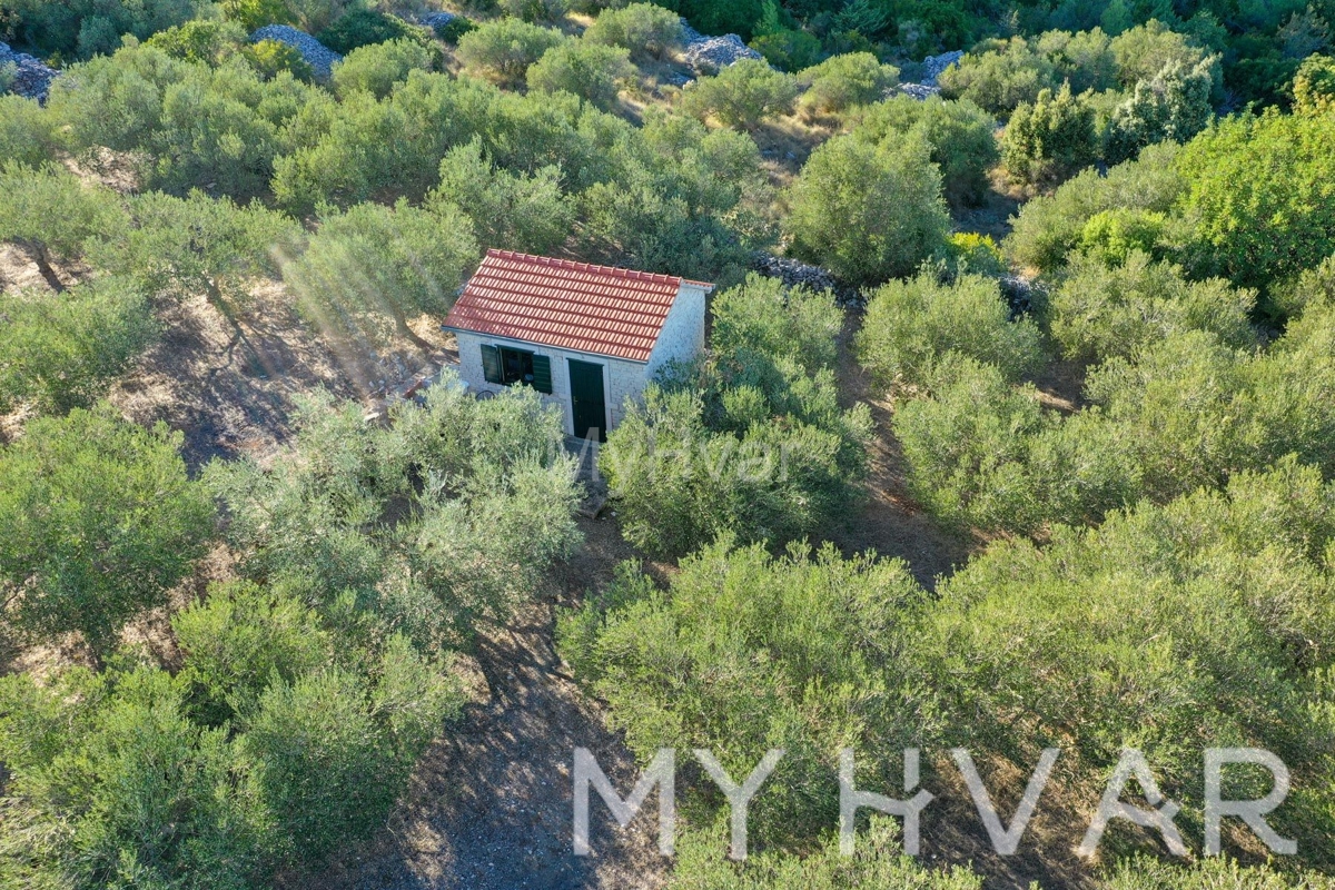 Land For sale - SPLITSKO-DALMATINSKA JELSA