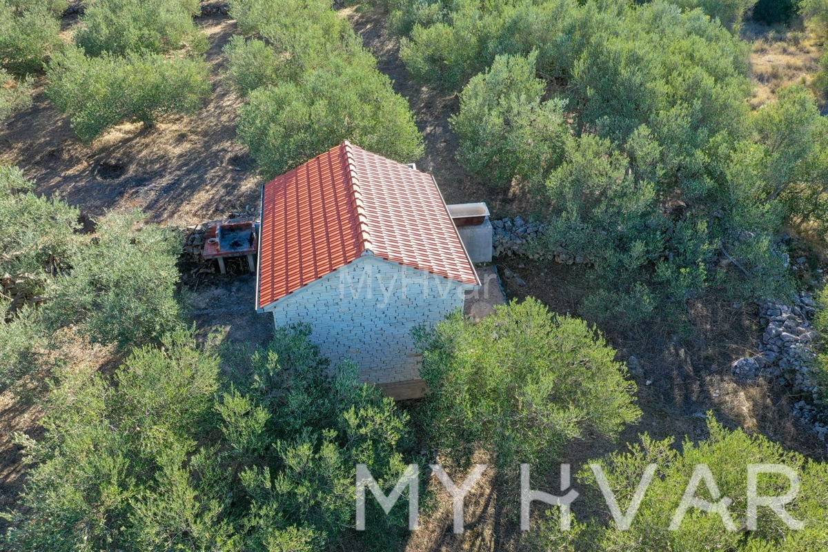 Land For sale - SPLITSKO-DALMATINSKA JELSA