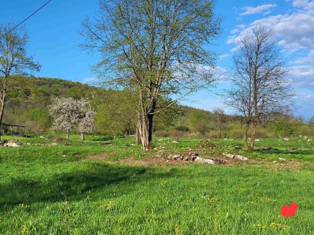 Zemljište na prodaju 5307 m² – Ogulin