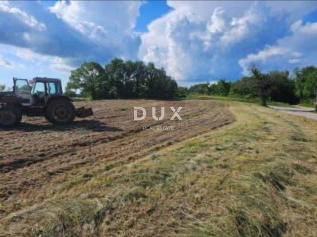 Land For sale - Istarska žminj - foto 5/11