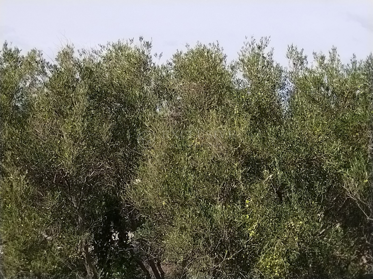 Land For sale - PRIMORSKO-GORANSKA KRK
