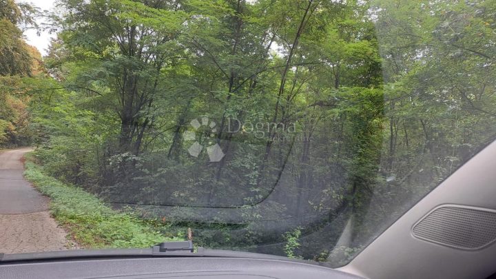 Terreno In vendita - Sisačko-moslavačka Gvozd - foto 3/7