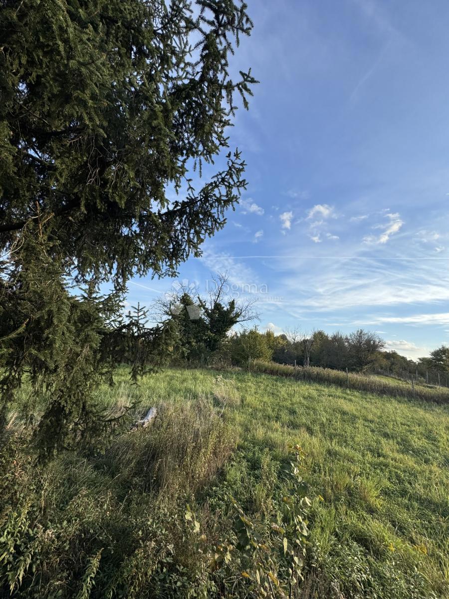 Kuća Na prodaju - KOPRIVNIČKO-KRIŽEVAČKA VIRJE