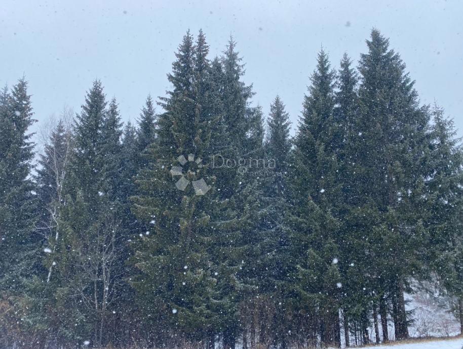Pozemok Na predaj - Primorsko-goranska Ravna Gora - foto 1/4