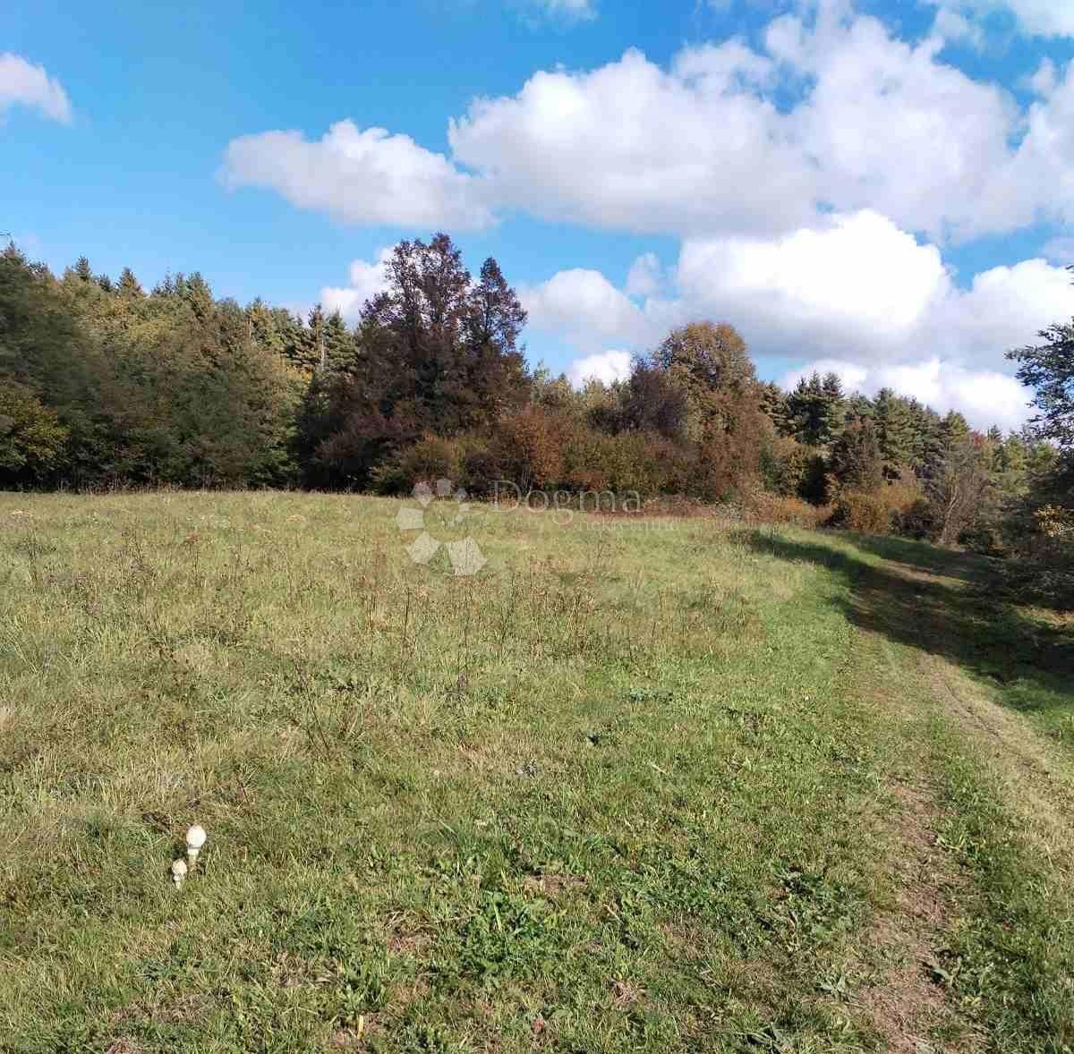 Zemljište Na prodaju - KARLOVAČKA OGULIN