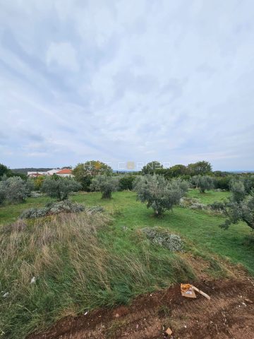 Apartma Naprodaj - Istarska Pula - foto 4/12