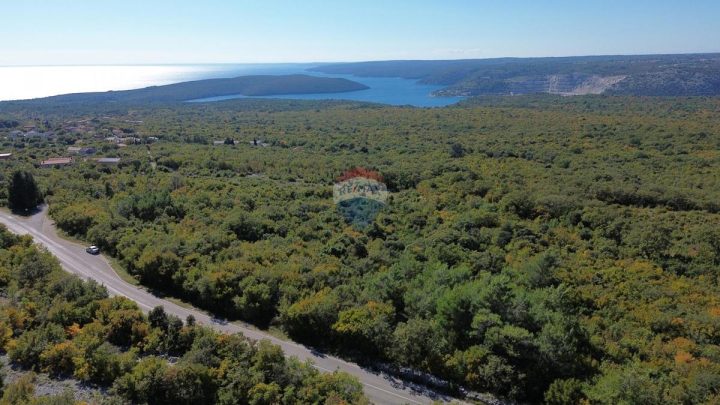 Grundstück zu verkaufen 6600 m² – Raša