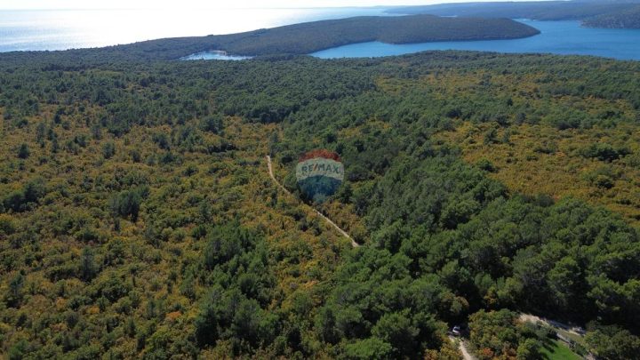 Grundstück zu verkaufen 7780 m² – Raša