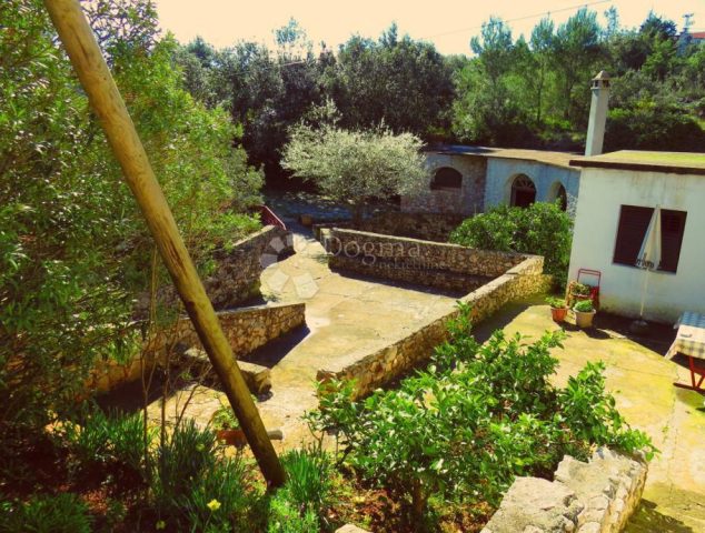 Dom Na predaj - Zadarska Zadar - foto 4/14