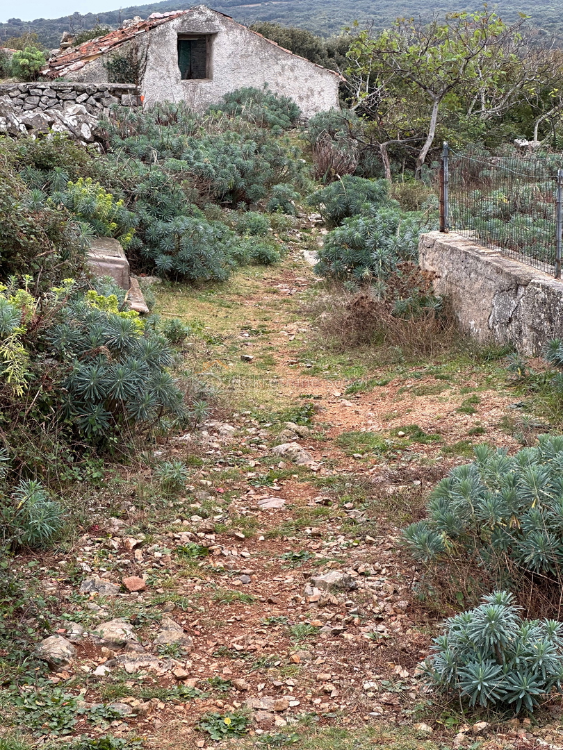 Dům Na prodej - Primorsko-goranska Mali Lošinj - foto 5/5
