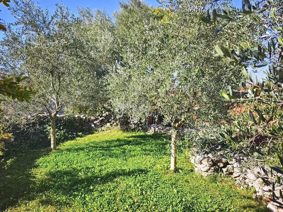 Casa In vendita - Primorsko-goranska Krk - foto 3/21