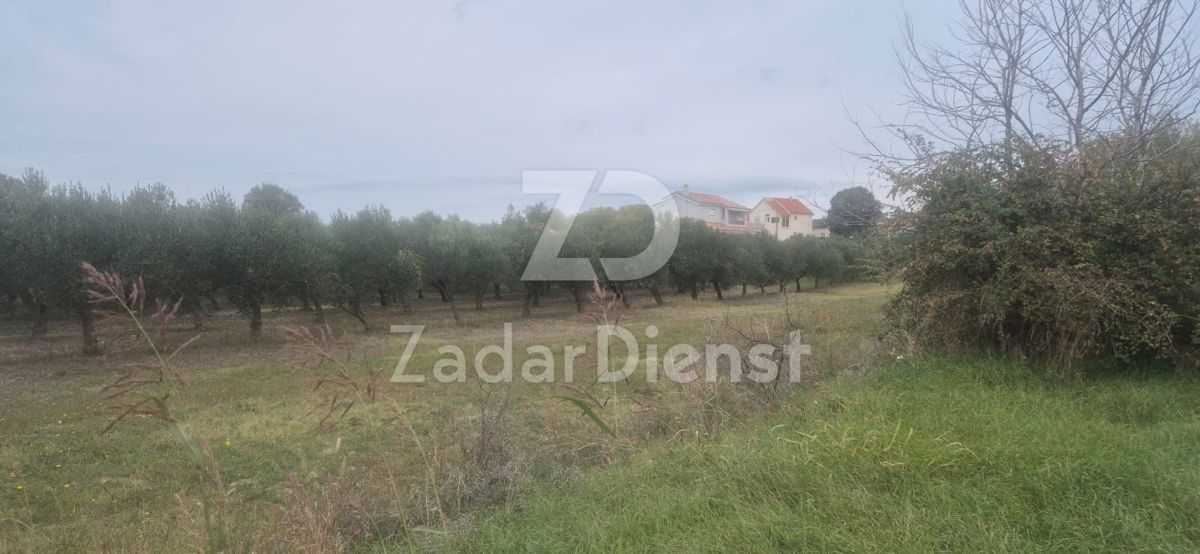 Terreno In vendita - ZADARSKA ZEMUNIK DONJI