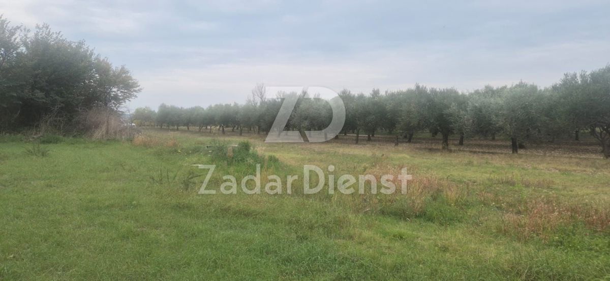 Terreno In vendita - ZADARSKA ZEMUNIK DONJI
