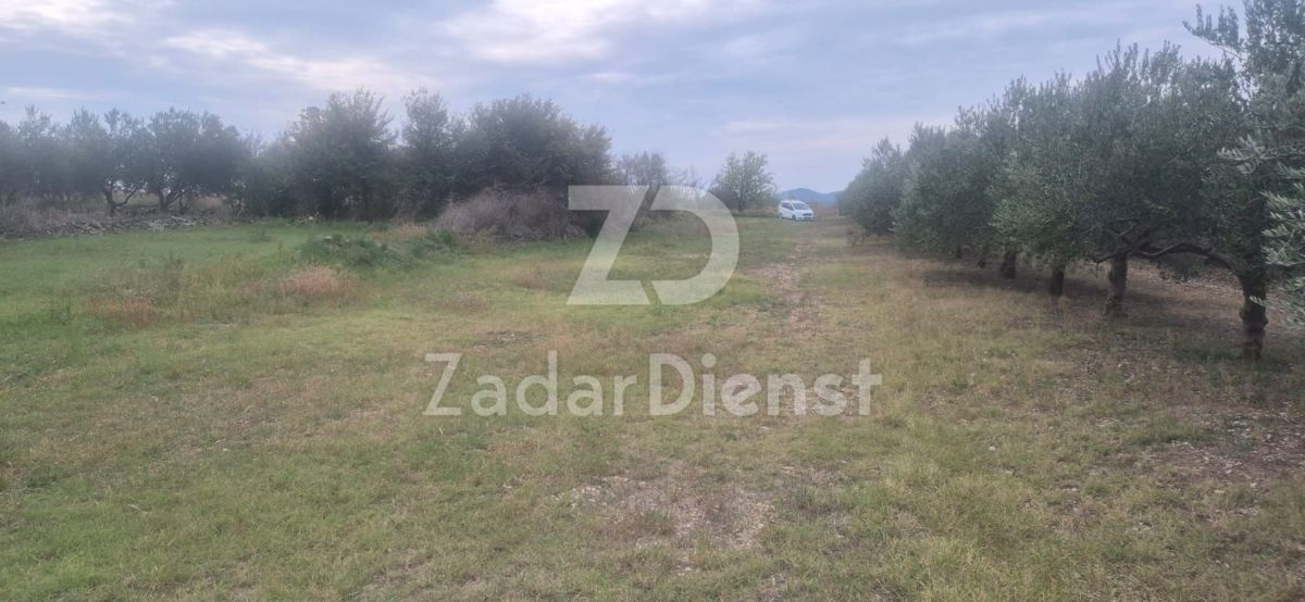 Terreno In vendita - ZADARSKA ZEMUNIK DONJI
