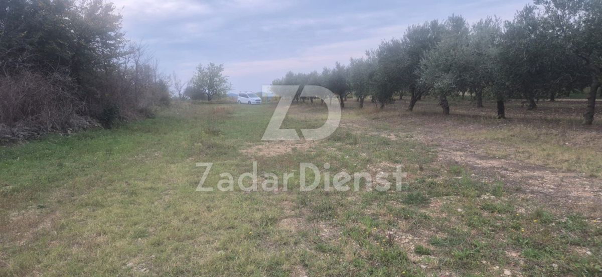 Terreno In vendita - ZADARSKA ZEMUNIK DONJI