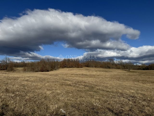 Grundstück zu verkaufen 20333 m² – Pazin