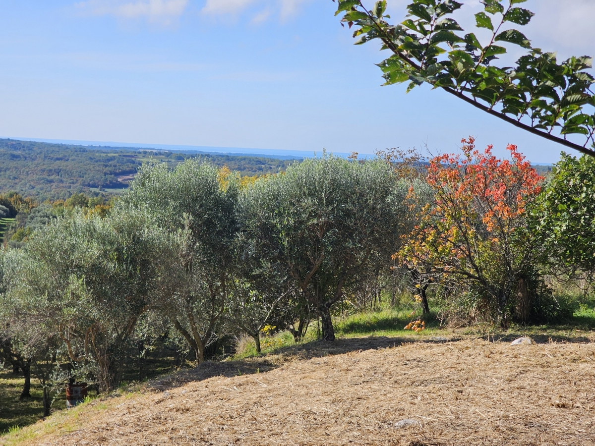 Terreno In vendita - Istarska Buje - foto 1/7