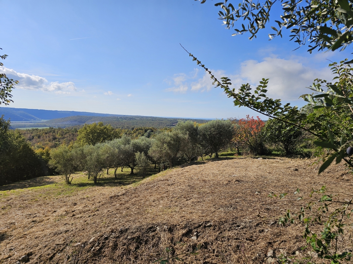 Terreno In vendita - Istarska Buje - foto 3/7