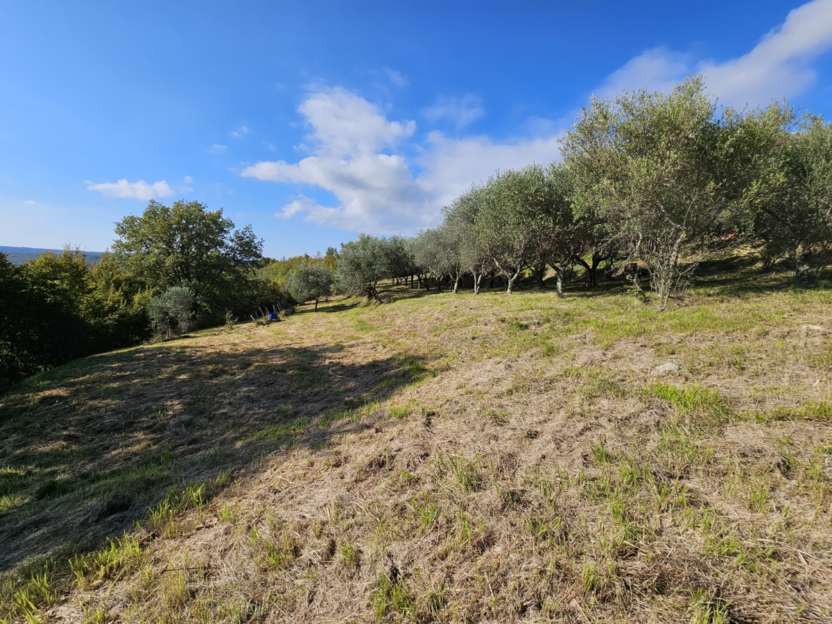 Terreno In vendita - Istarska Buje - foto 4/7