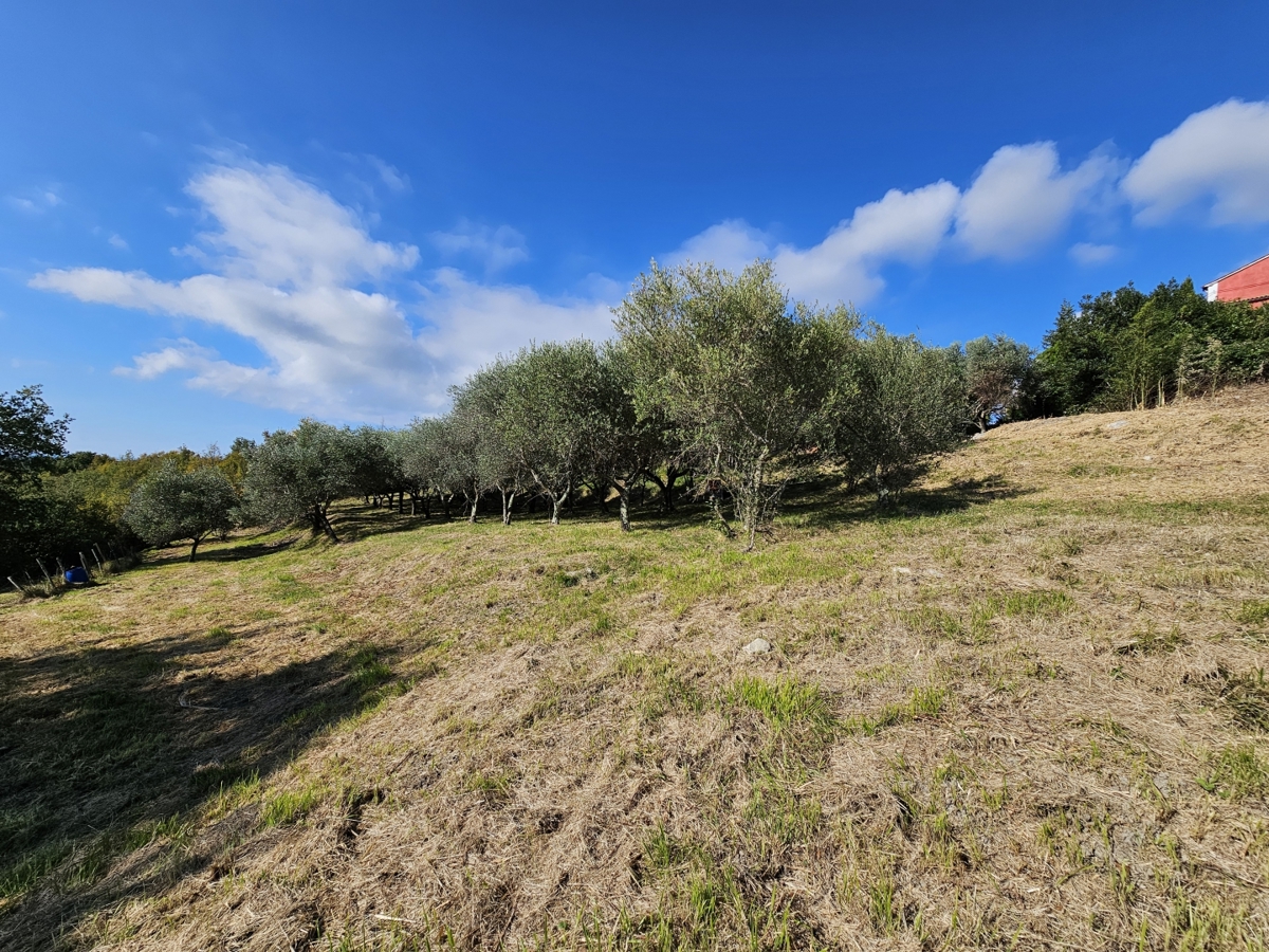 Terreno In vendita - Istarska Buje - foto 5/7