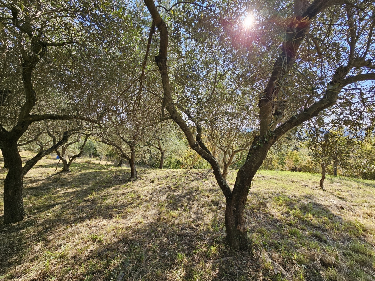 Terreno In vendita - ISTARSKA BUJE