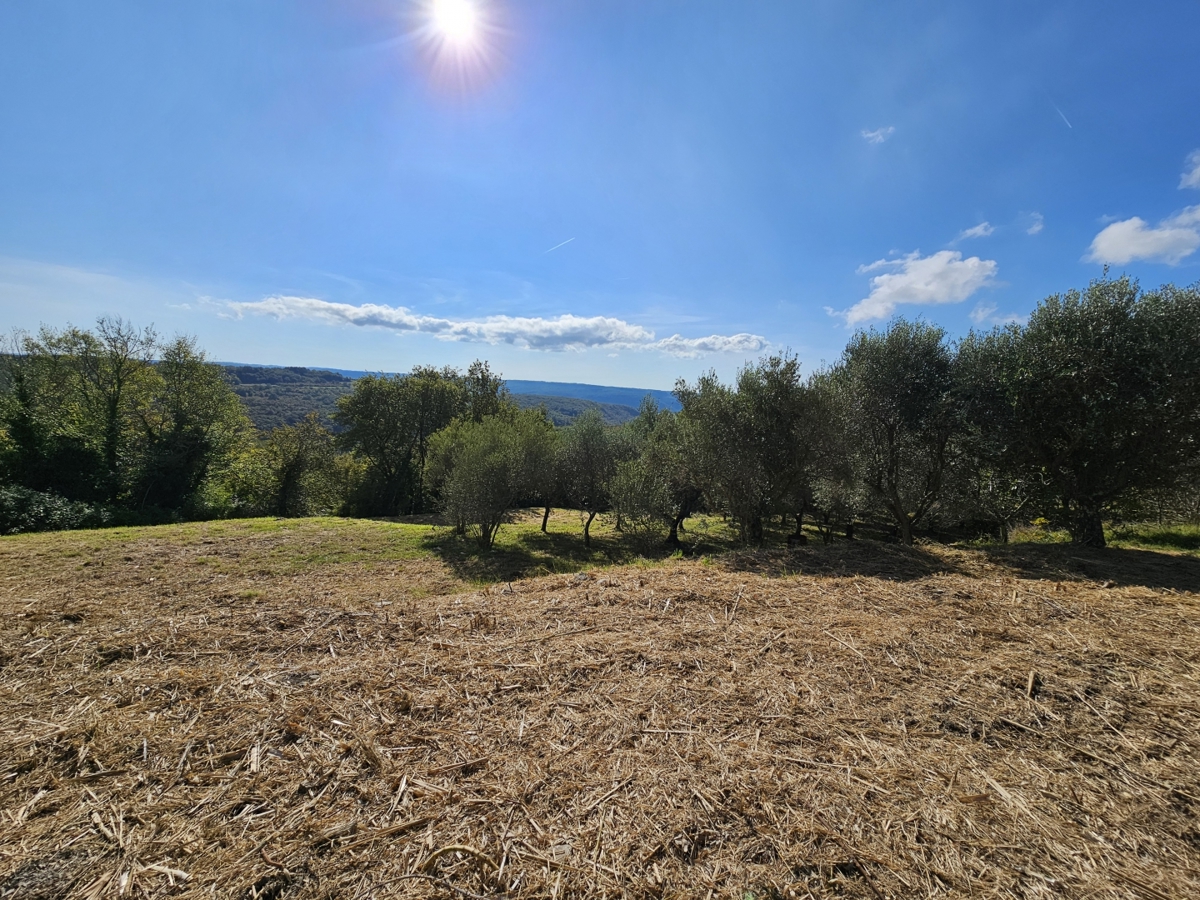 Terreno In vendita - ISTARSKA BUJE