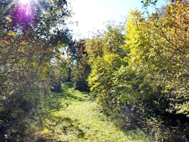 Zemljište Na prodaju - Primorsko-goranska Krk - foto 2/3