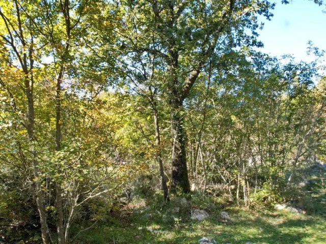 Zemljište Na prodaju - Primorsko-goranska Krk - foto 3/3