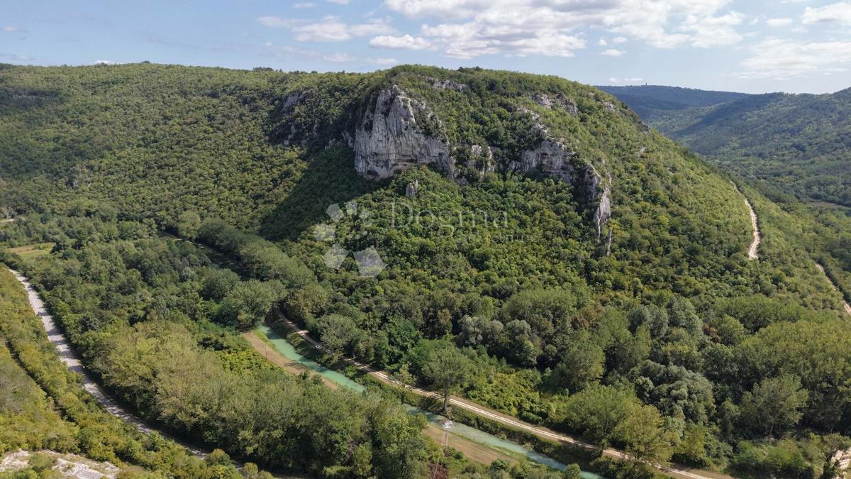 Terrain À vendre - ISTARSKA BUZET