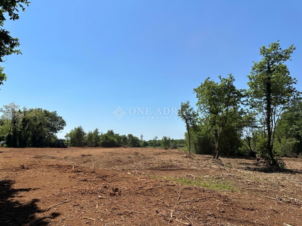 Terrain À vendre - Istarska Ližnjan - foto 1/3